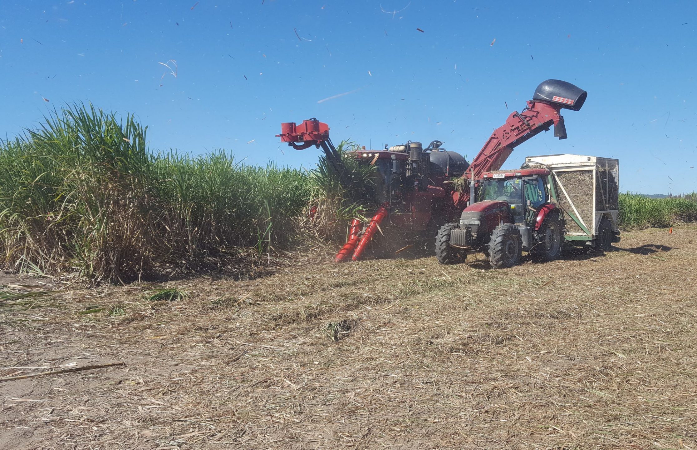 Case sugar cane harvester testing EHS Manufacturing Canestalker crop divider